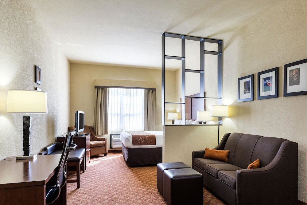 Comfort Suites near NASA - Clear Lake 25/39