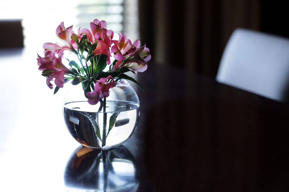 门多萨柏悦酒店(Park Hyatt Mendoza) 图片2