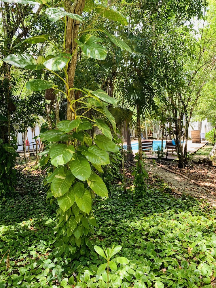 Collection O EcoVergel Hotel Boutique Spa in Tulum 63/72