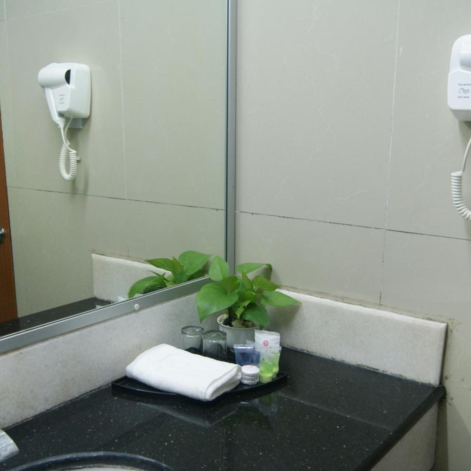 Tang Dynasty Park Hotel 50/50
