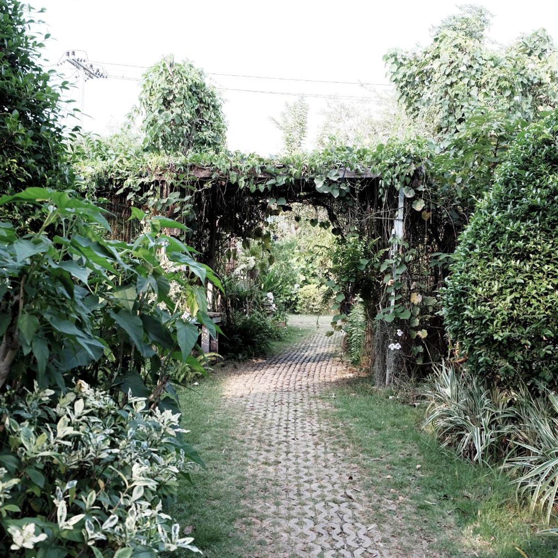Khao Yai Cottage 71/81