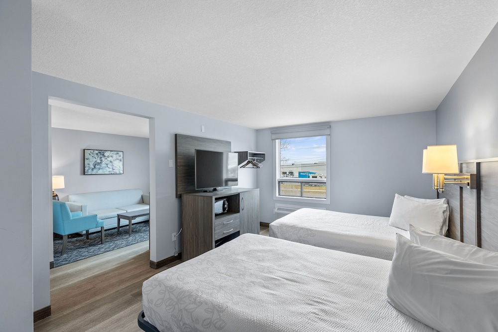 PREMIUM, SUITE, MULTIPLE BEDS, KITCHENETTE
