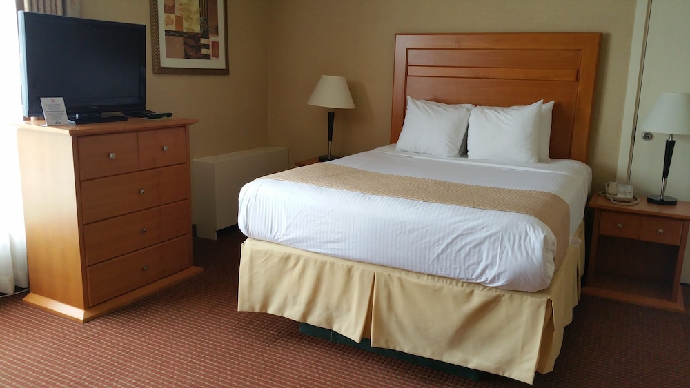 Comfort, Single, Queen Bed