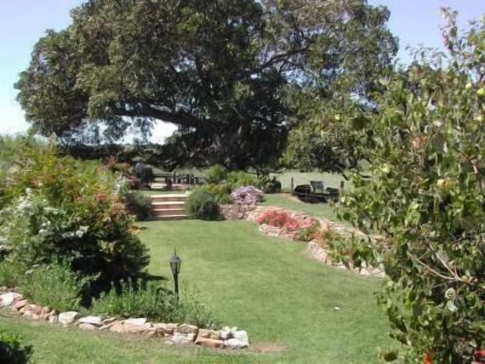 MADDIES OF BOLWARRA 65/71