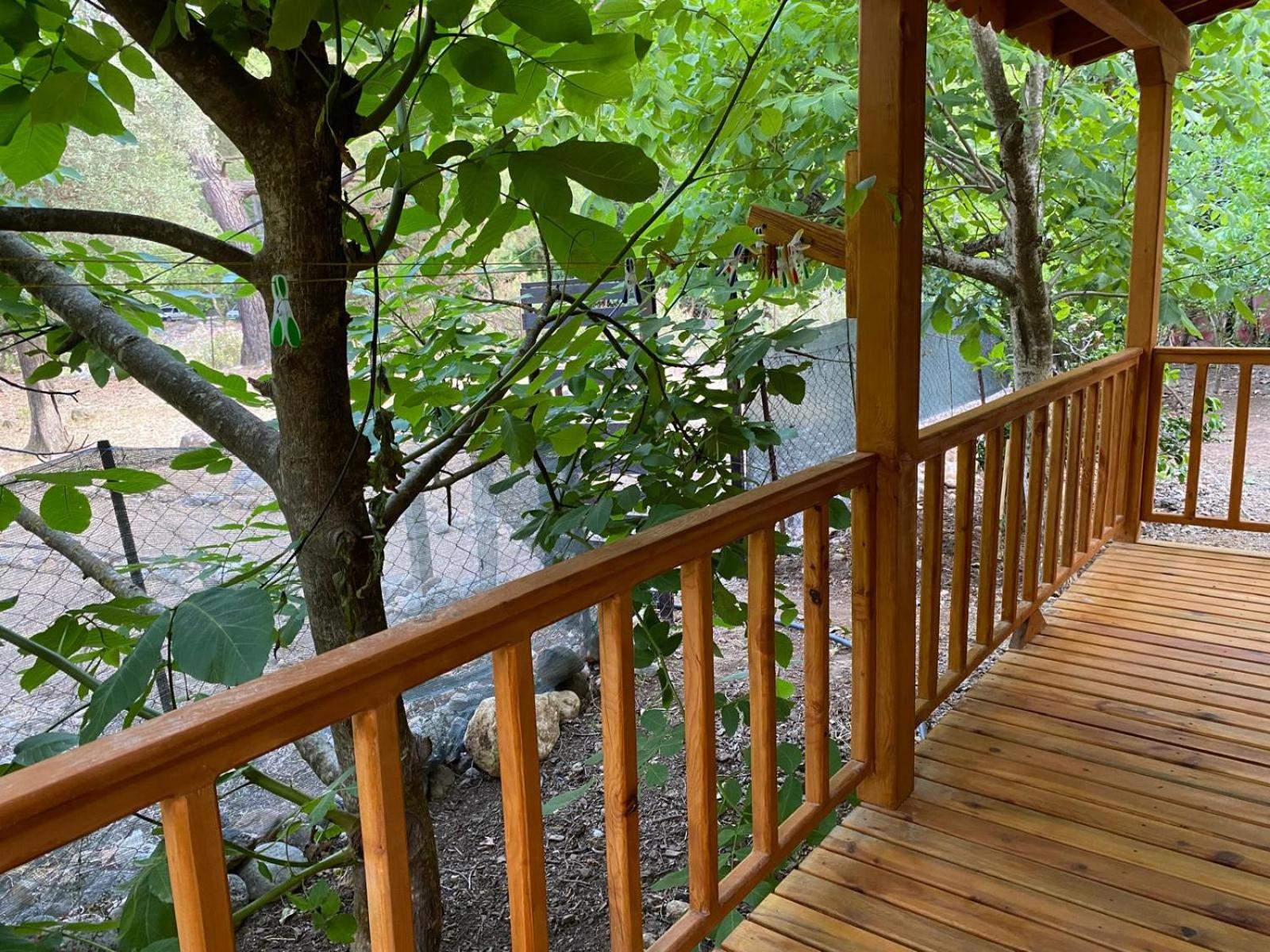 Canario Pension Bungalow 49/50