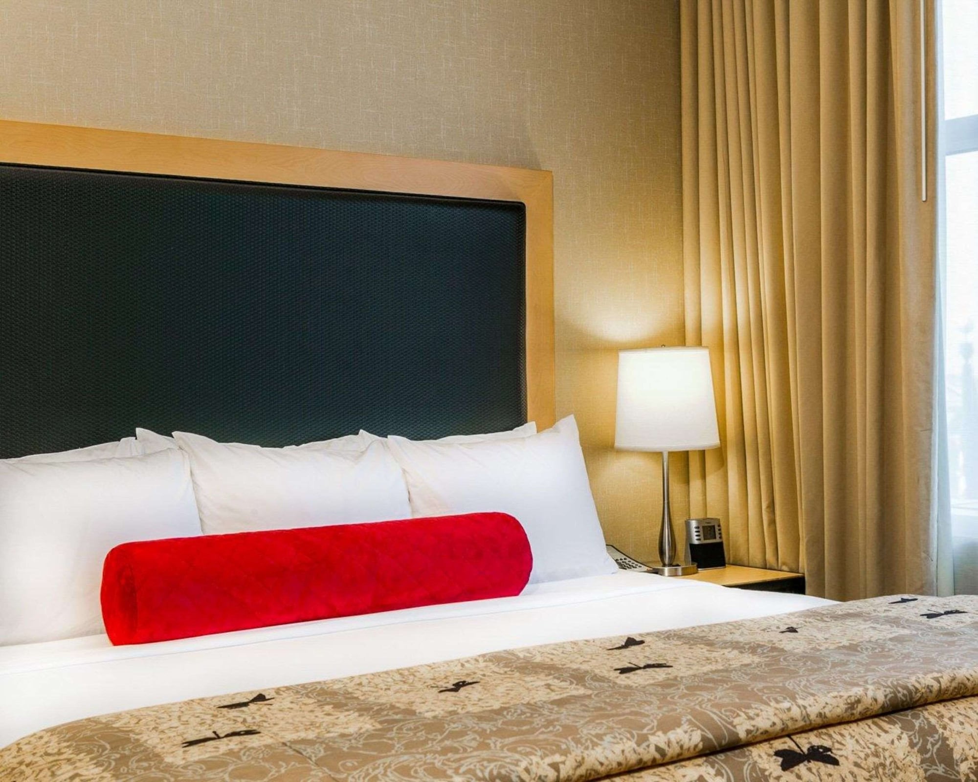 جناح بسرير كينج مع أريكة، Cambria Hotel Denver International Airport 5/7