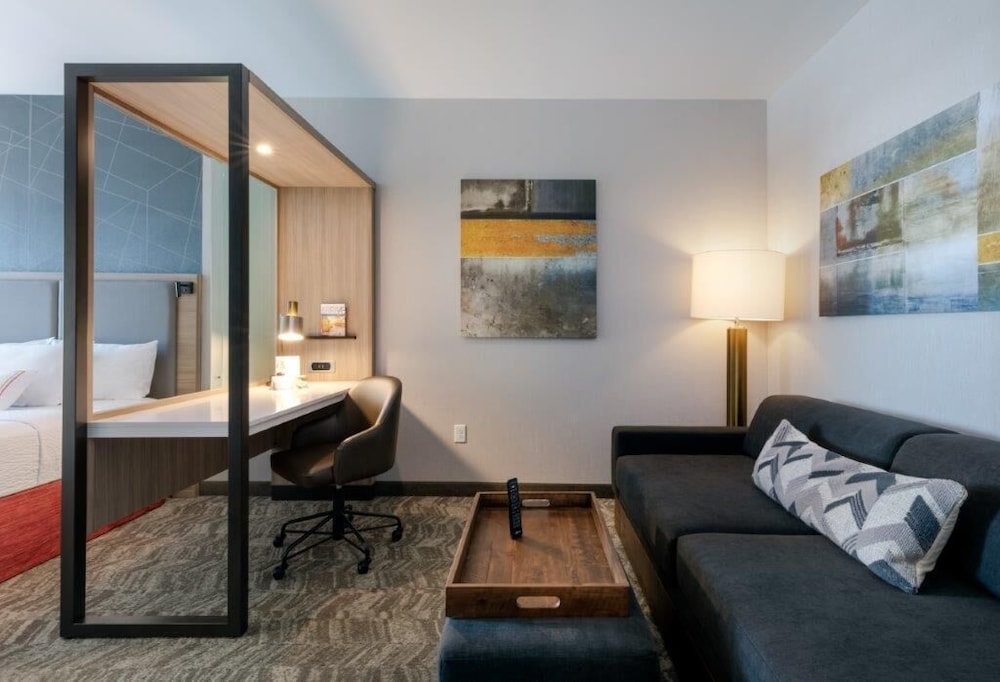 SpringHill Suites by Marriott Suwanee Johns Creek 22/46