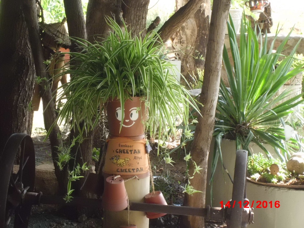Morning Glory Cottages — photo 2