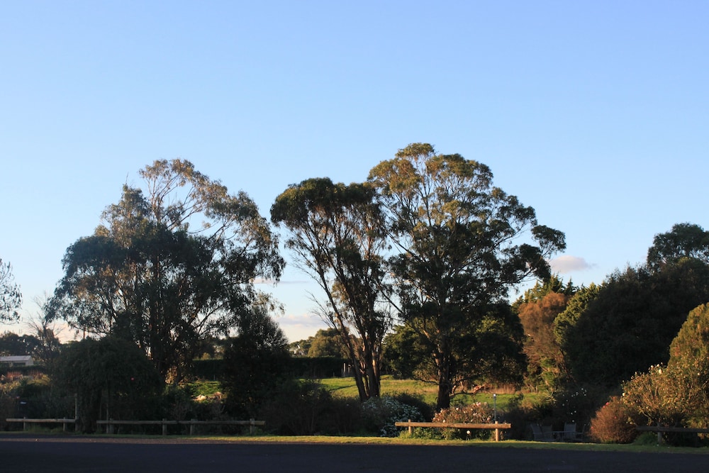 Mt Gambier International 18/18