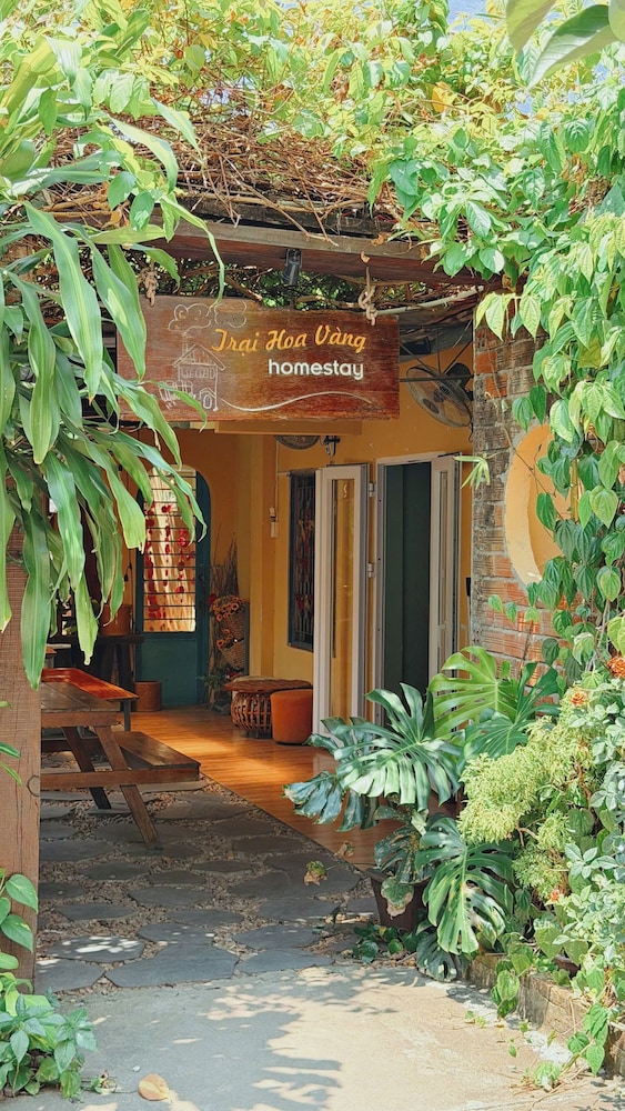 Trai Hoa Vang Homestay - Hostel 4/48