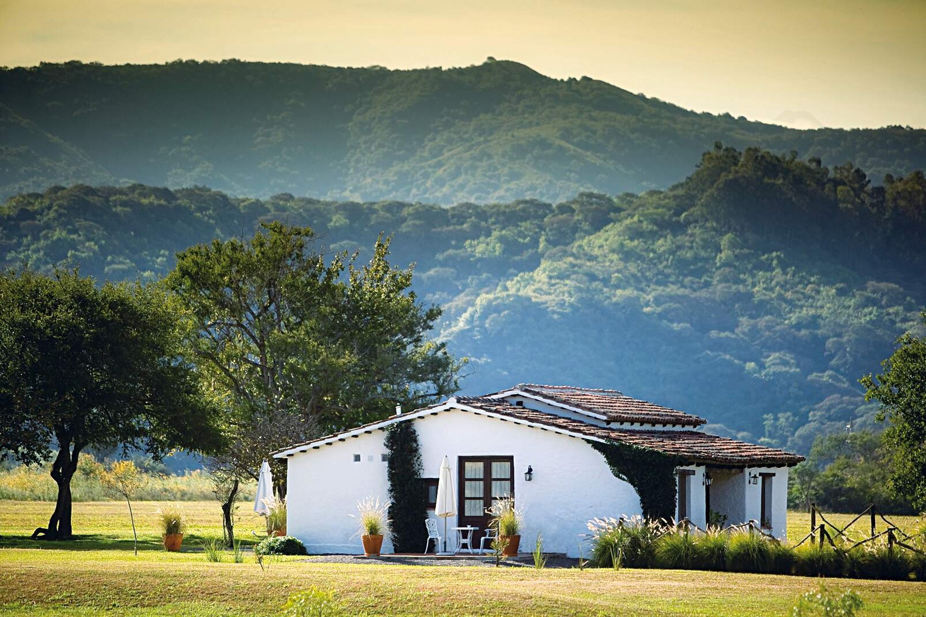 House Of Jasmines 47/52