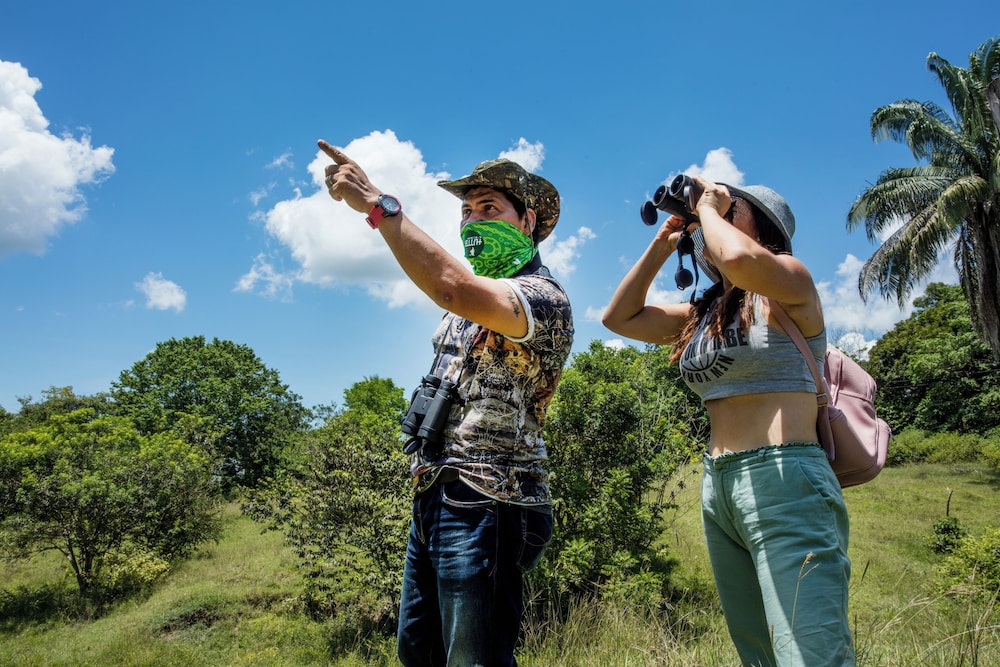 Mangoo Glamping 9/17