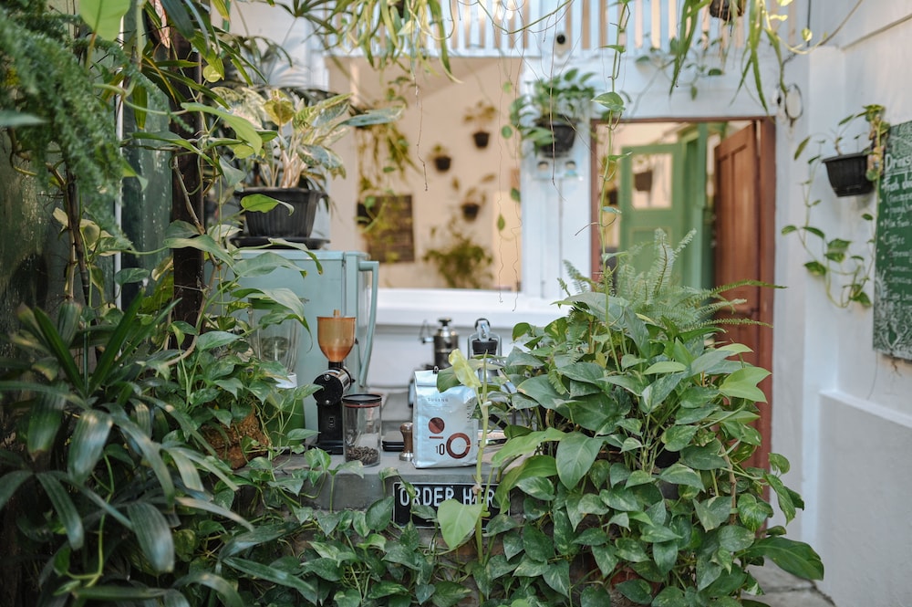 Snooze Guesthouse Yogyakarta - Hostel 47/50