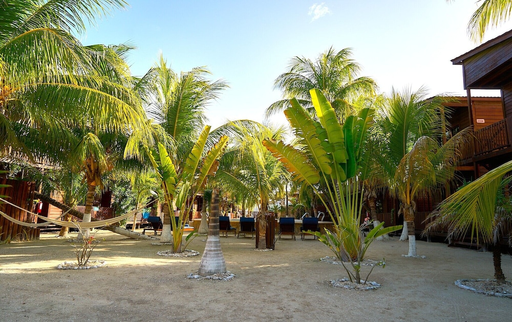COCONUT BY OOL HOTELS 33/43