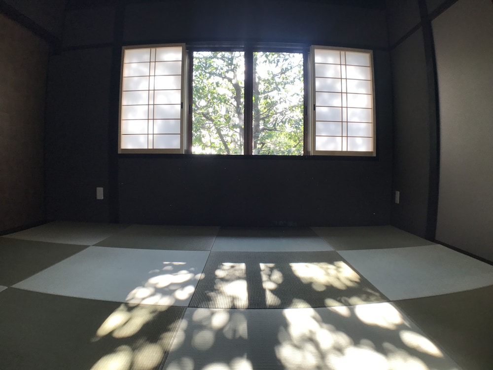Reikaku Yasaka 20/50