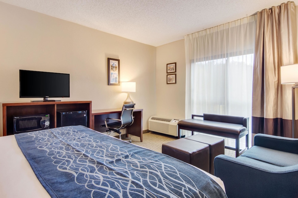 Comfort Inn Roswell-Dunwoody 9/44