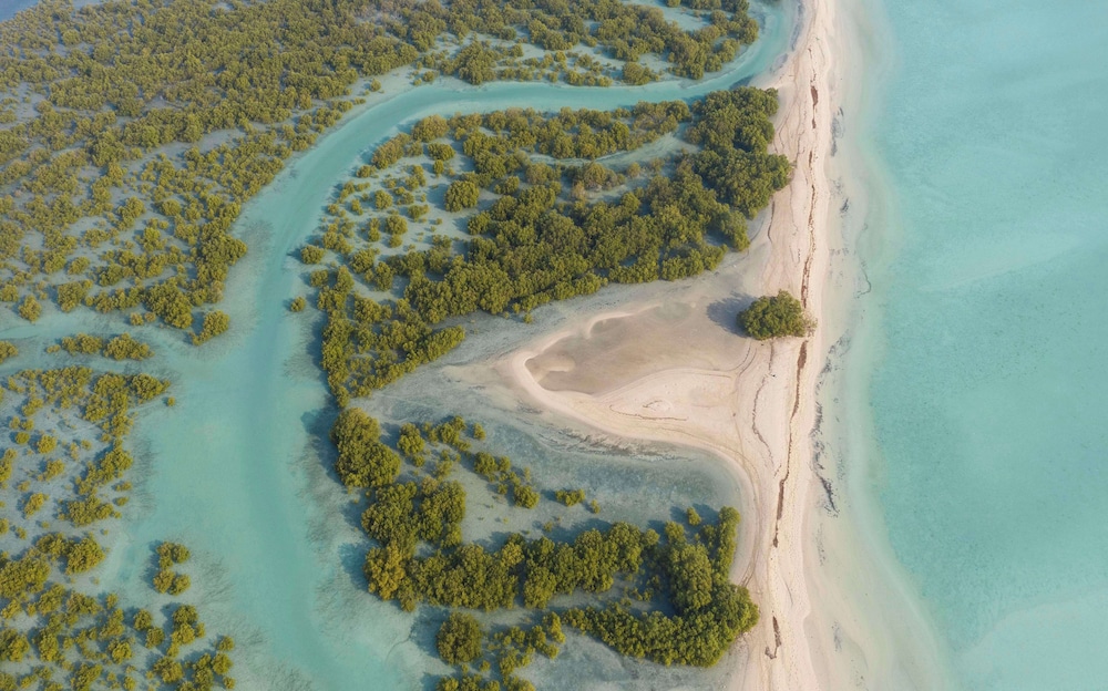 Anantara Sir Bani Yas Island Al Yamm Villa Resort 45/49