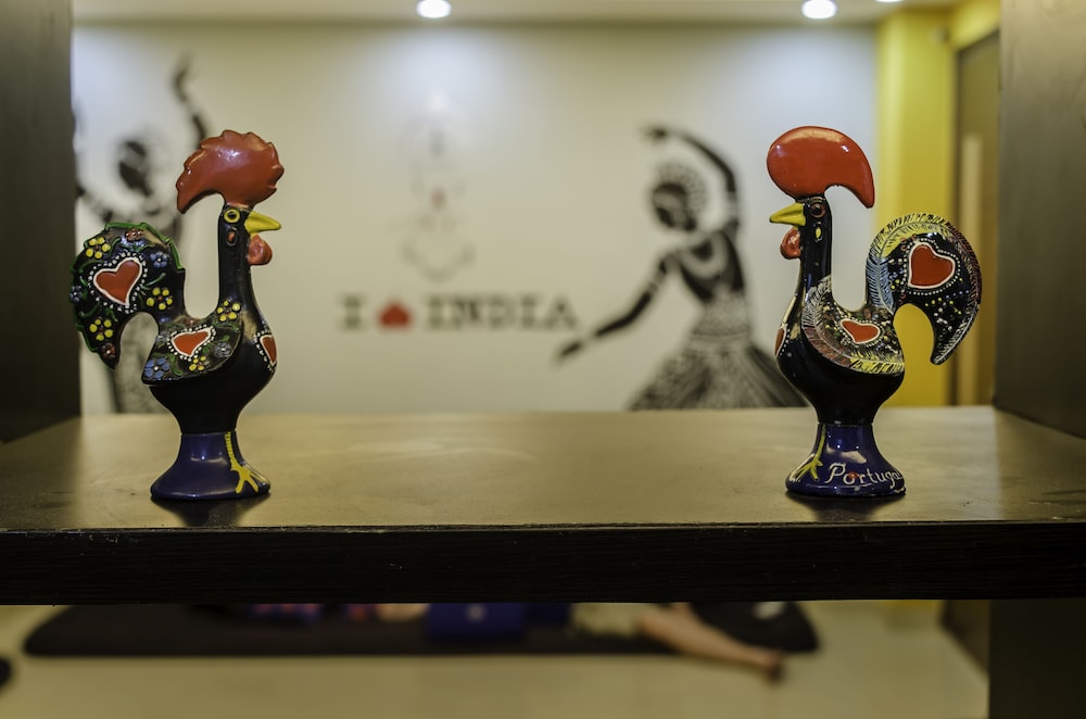 Amigos India 17/50