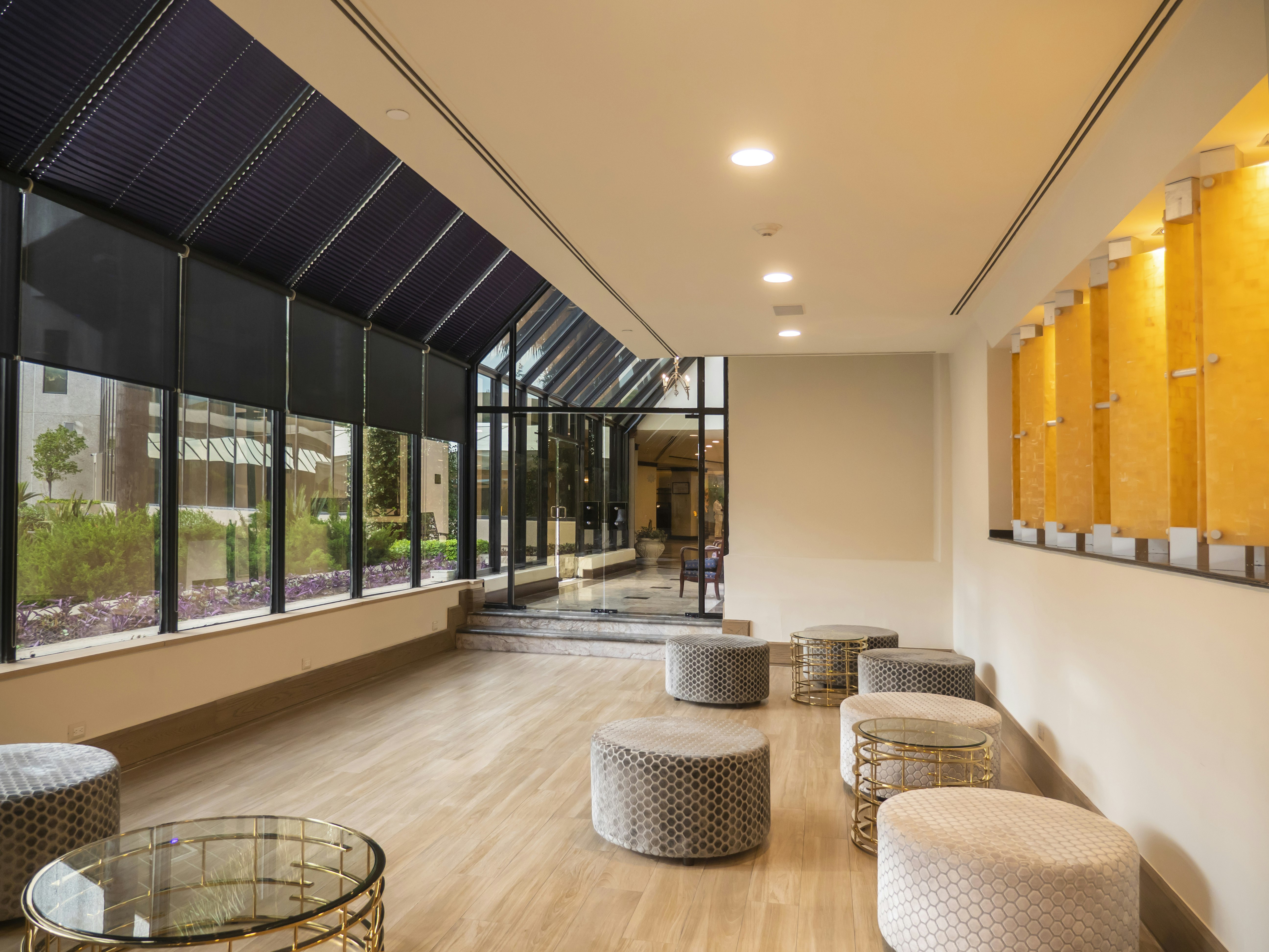 MS Milenium Monterrey Curio Collection by Hilton 38/77