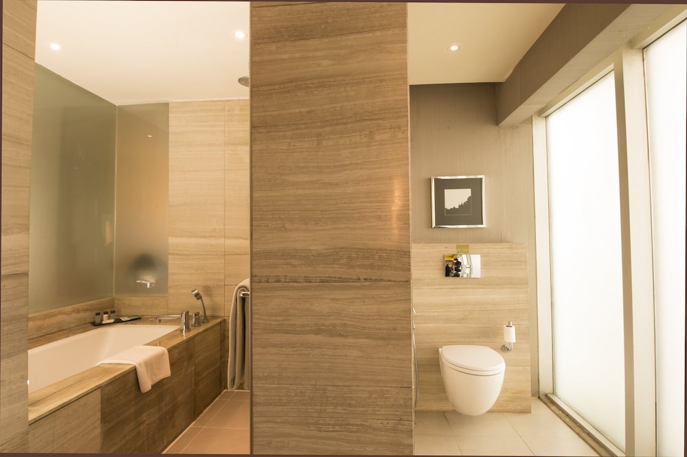 Holiday Inn New Delhi Aerocity by IHG 25/79