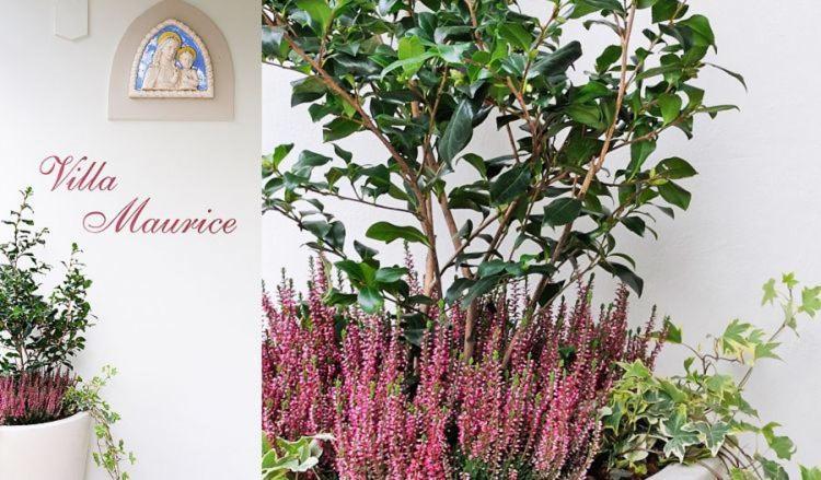 Residence Villa Maurice 3/42