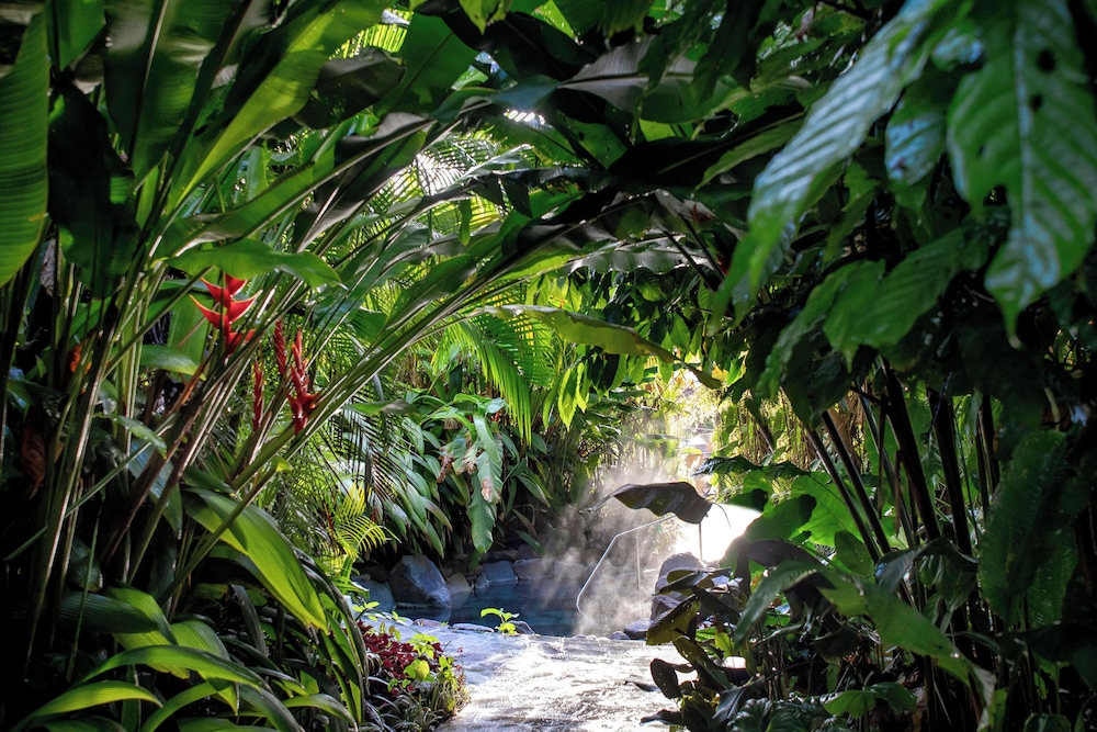 Arenal Manoa And Hot Springs 45/50