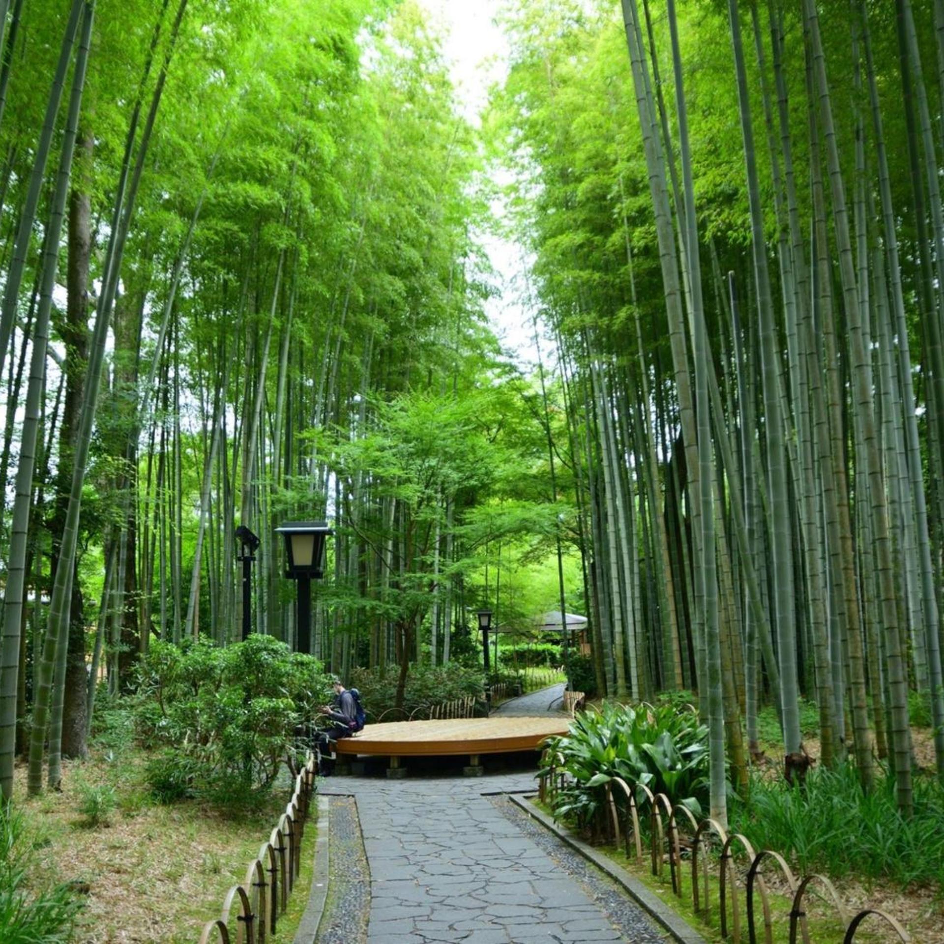 Shuzenji Onsen Goyokan 43/51