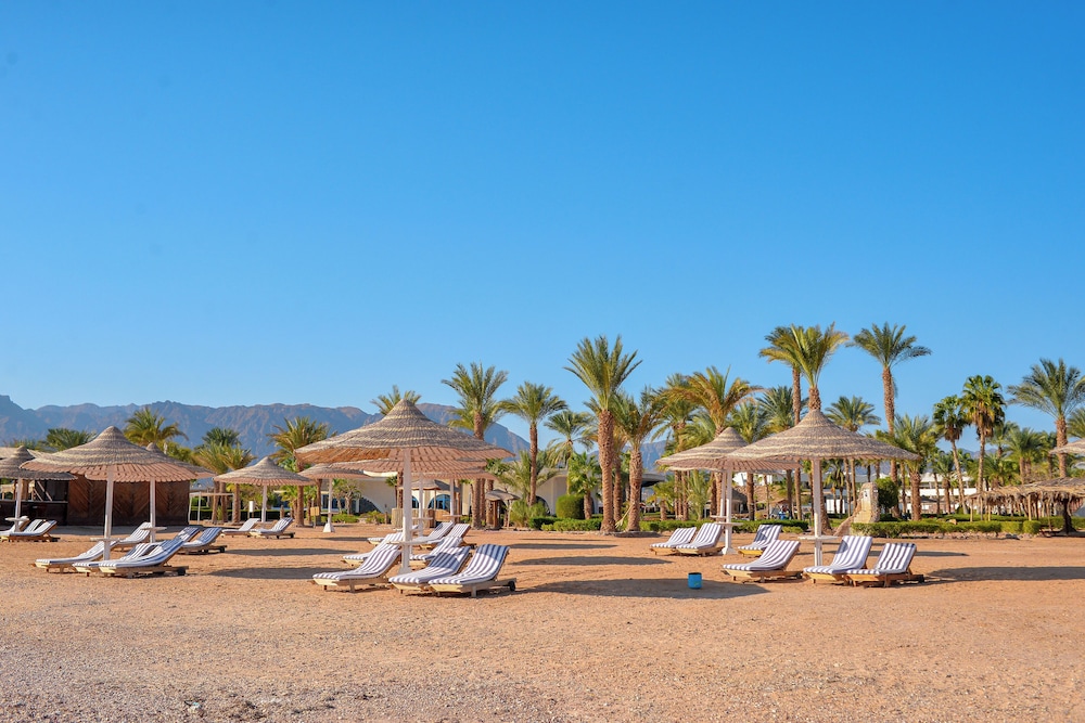 TIME Coral Nuweiba Resort 40/50