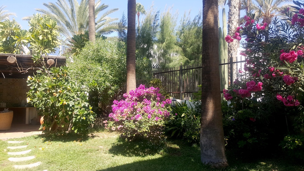 Apartamentos VIP Nogal - Adults Only 31/37