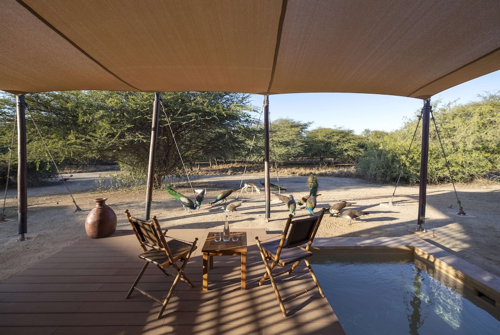 Anantara Sir Bani Yas Island Al Sahel Villa Resort 31/61