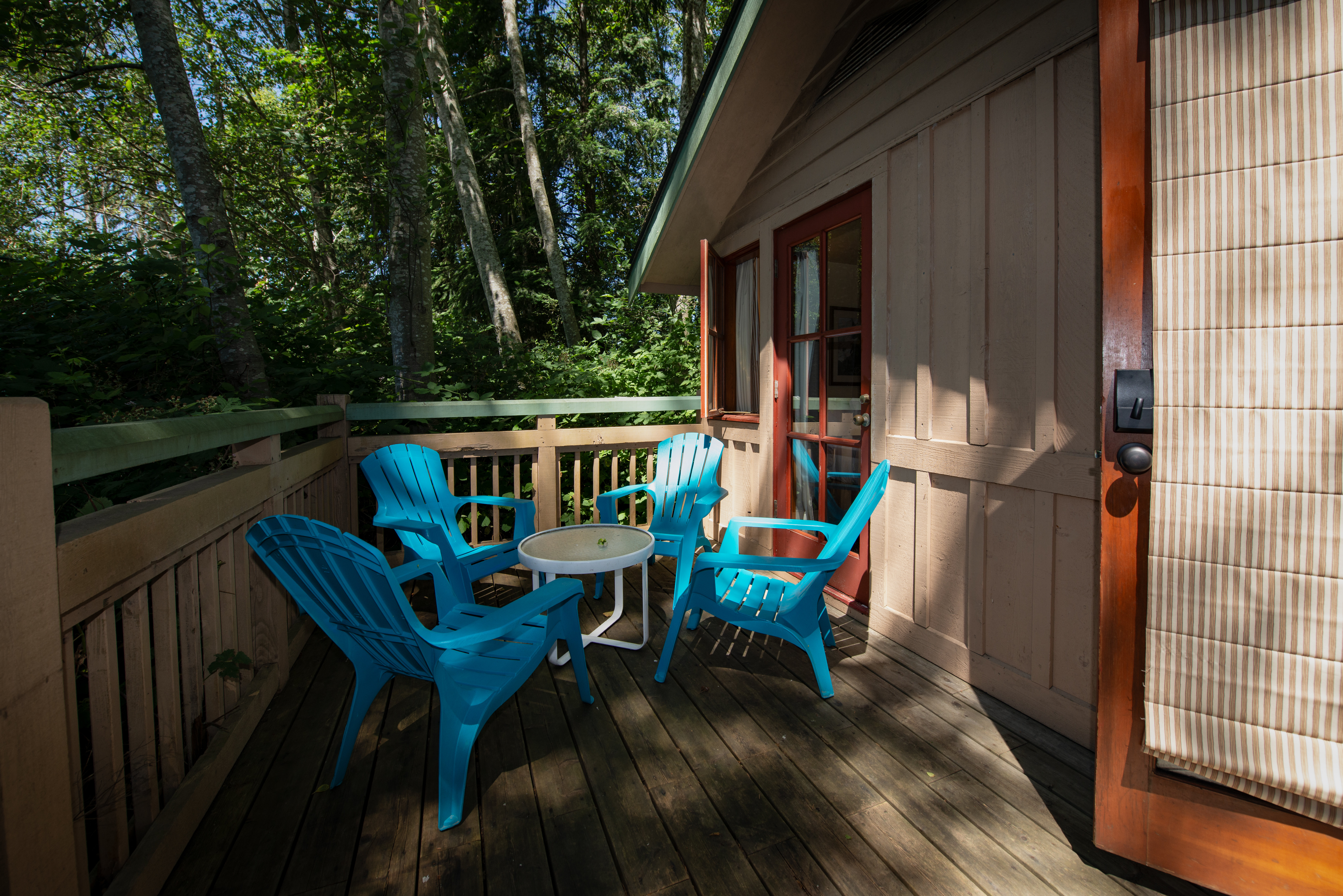 Painter's Lodge 40/50