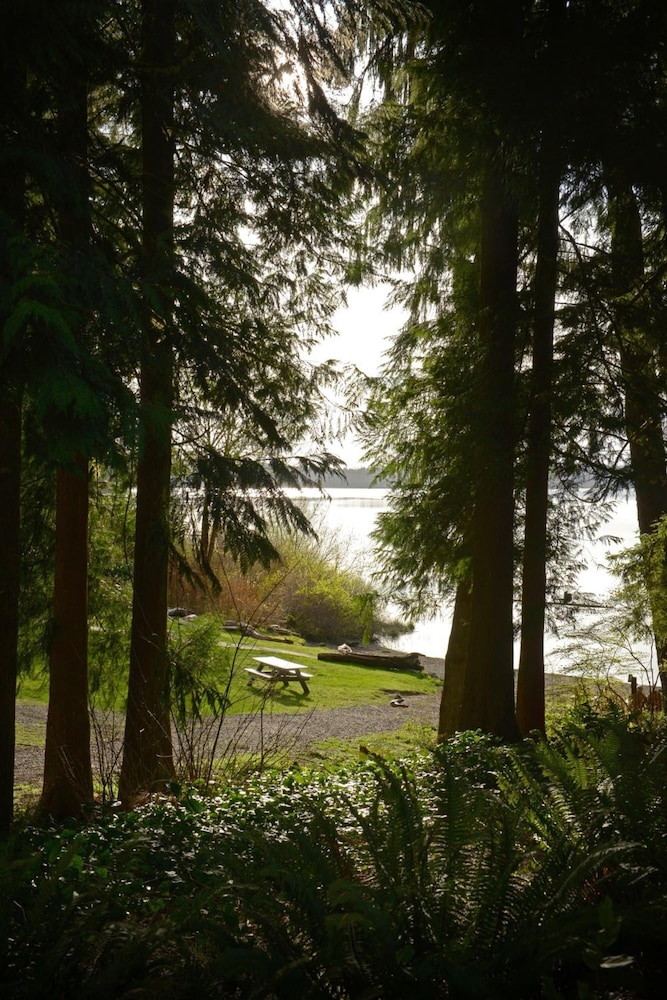 Lake Quinault Lodge 40/50