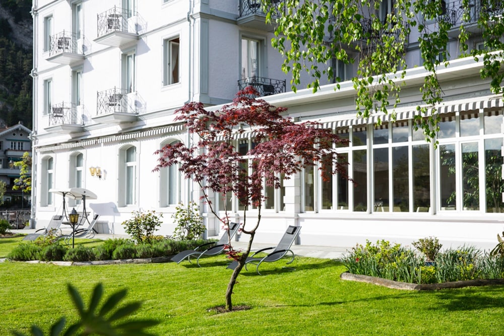 Boutique Hotel Bellevue 62/71
