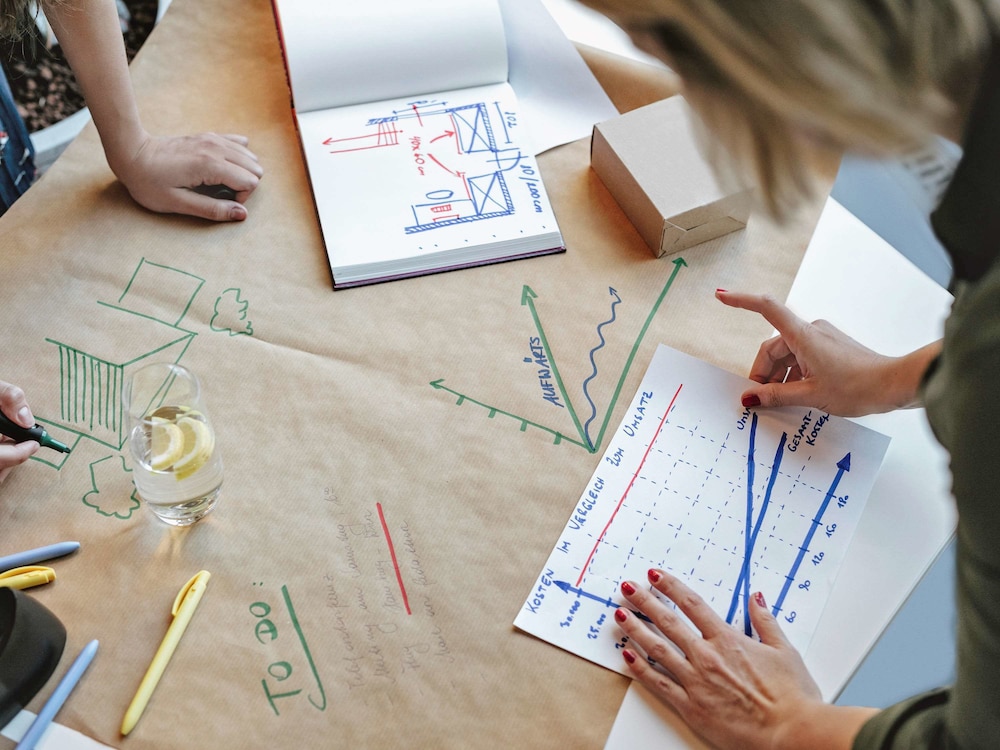 Ibis Sion 10/49