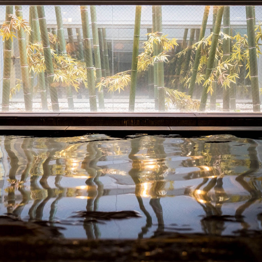 Super Hotel Yamagataeki Nishiguchi Natural Hot Springs 14/20