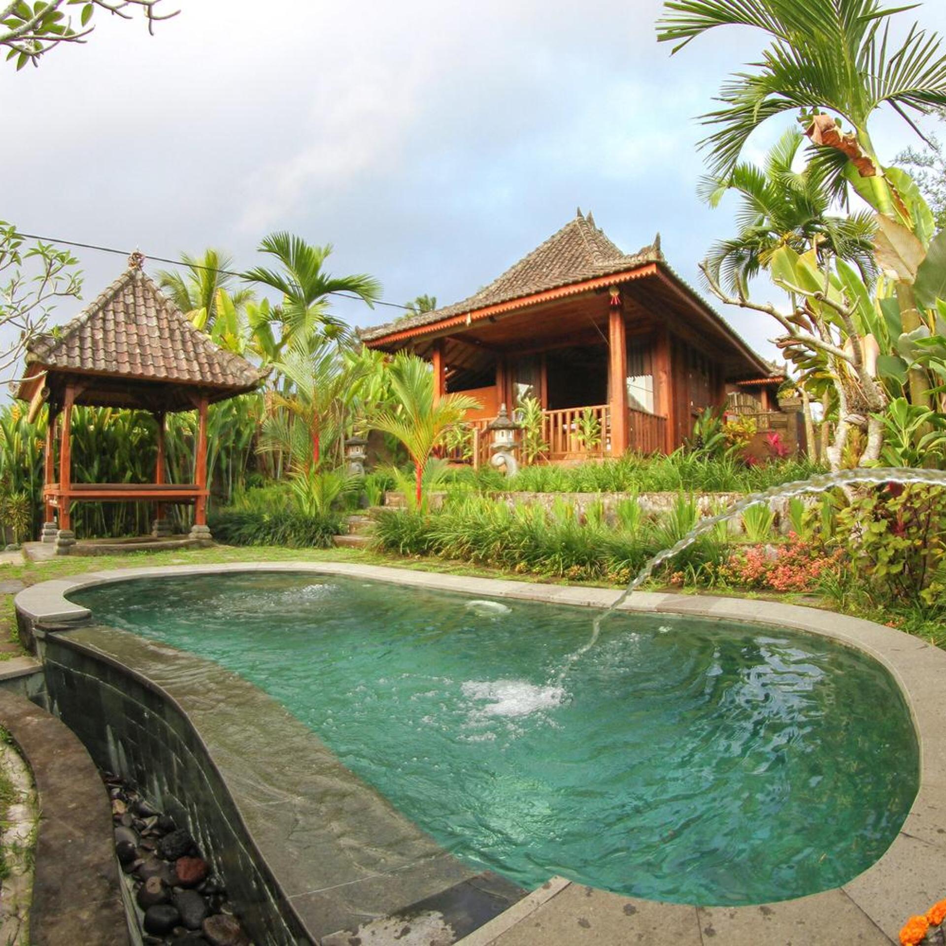 Belvilla Moksha Ceking Rice TerraceNearUbud Jungle Swing 32/33