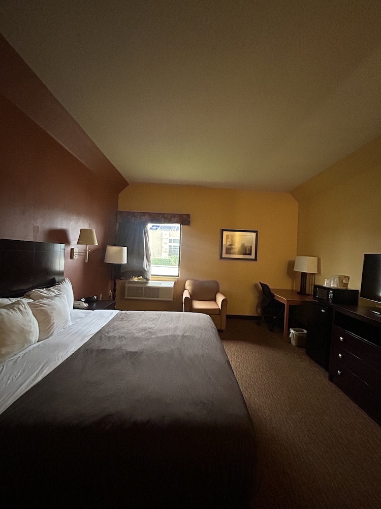 Comfort Inn Mission - McAllen West 22/51
