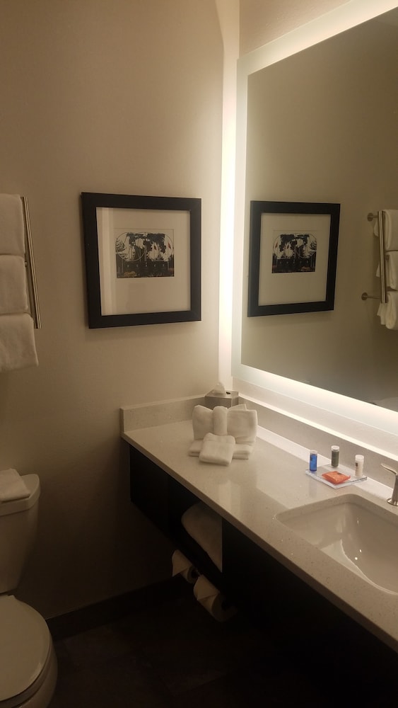 Radisson Hotel and Conference Center Rockford 20/57