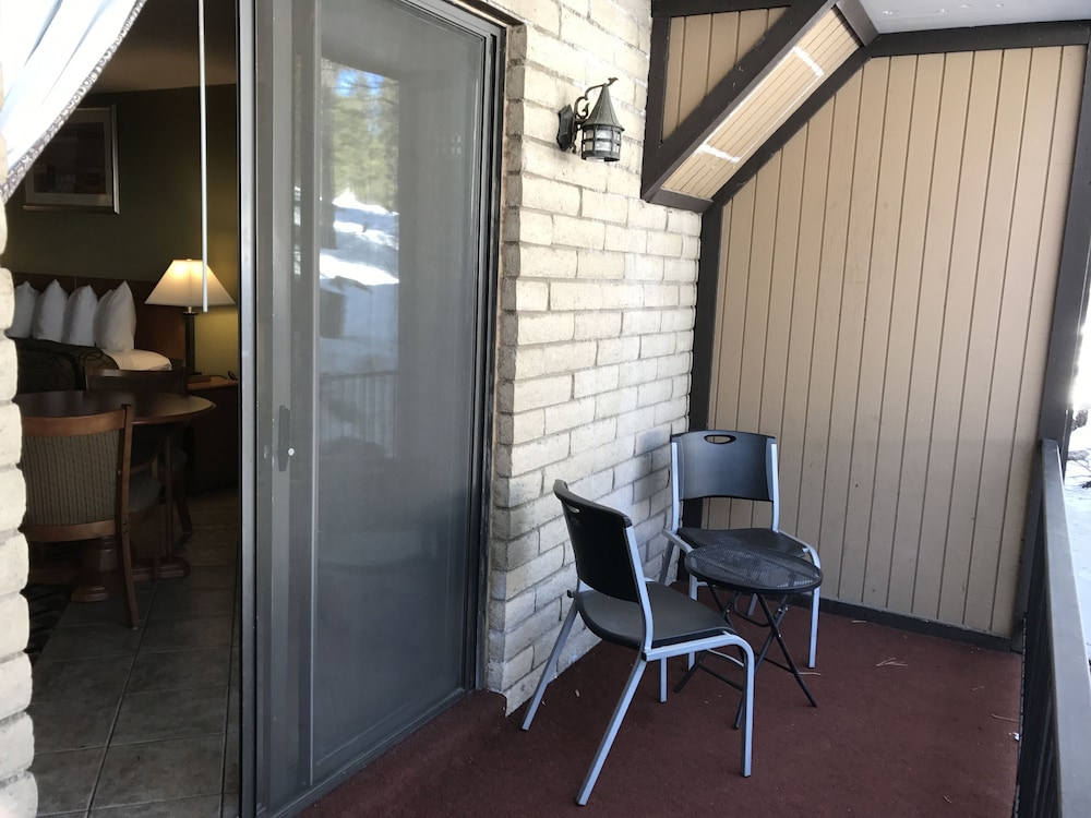 Motel In The Pines 41/41