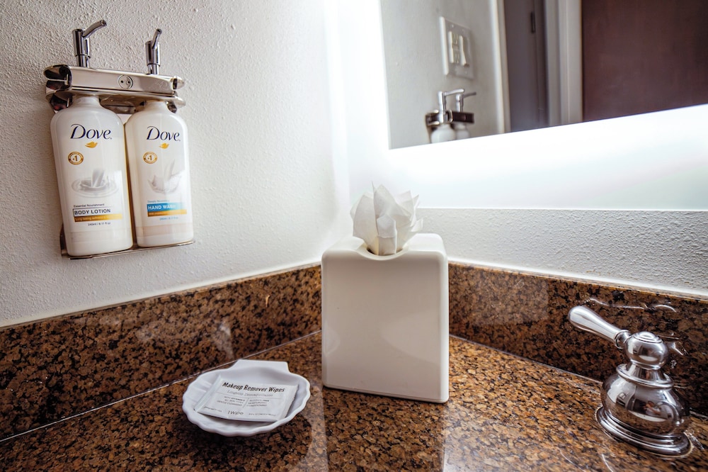 Holiday Inn Irving - Las Colinas, an IHG Hotel 64/64