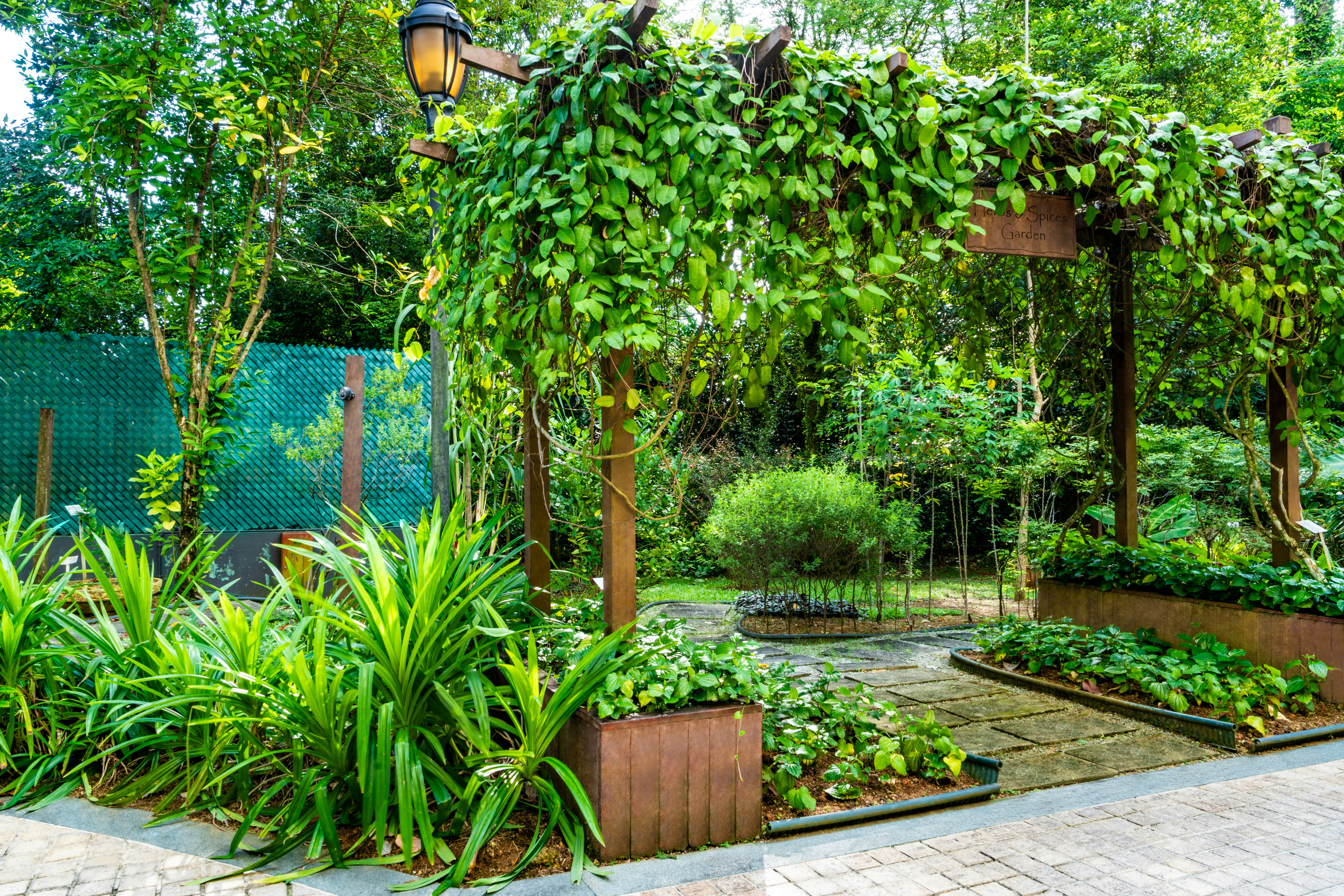 TREETOPS EXECUTIVE RESIDENCES 64/71