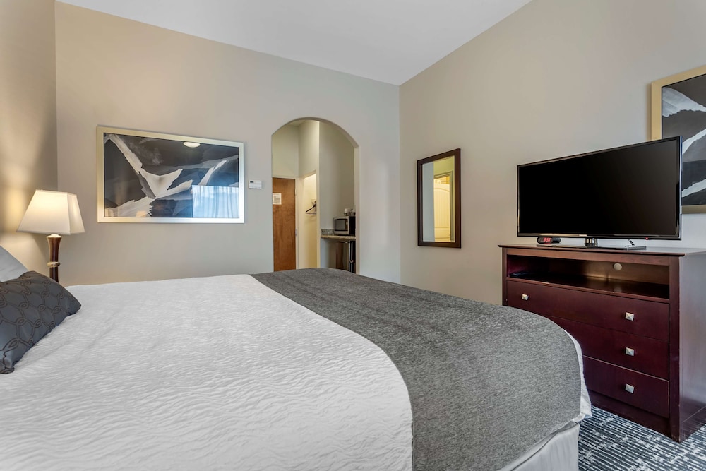Best Western Sugarland Inn 13/35