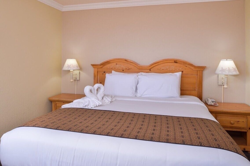 Comfort, Studio, Suite, King Bed, Sofa