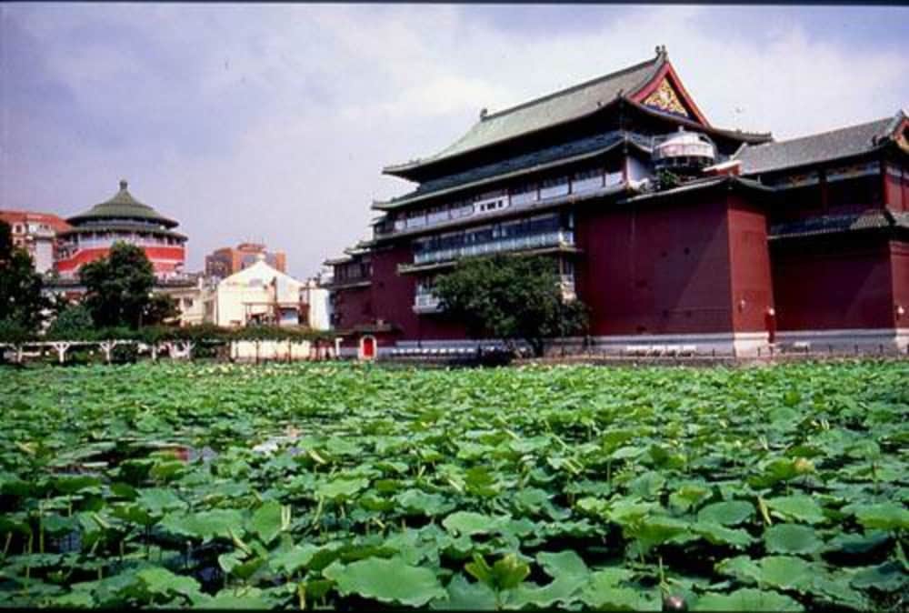 Royal Rose Hotel Taipei Station 38/46