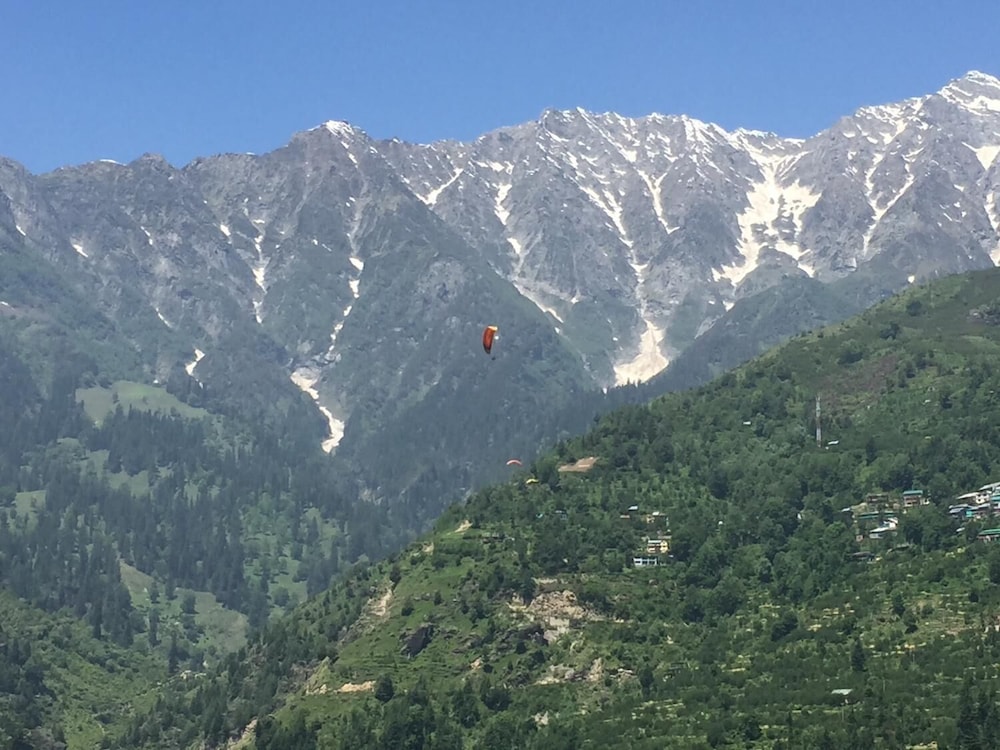 The Katoch Grand Resort 43/50