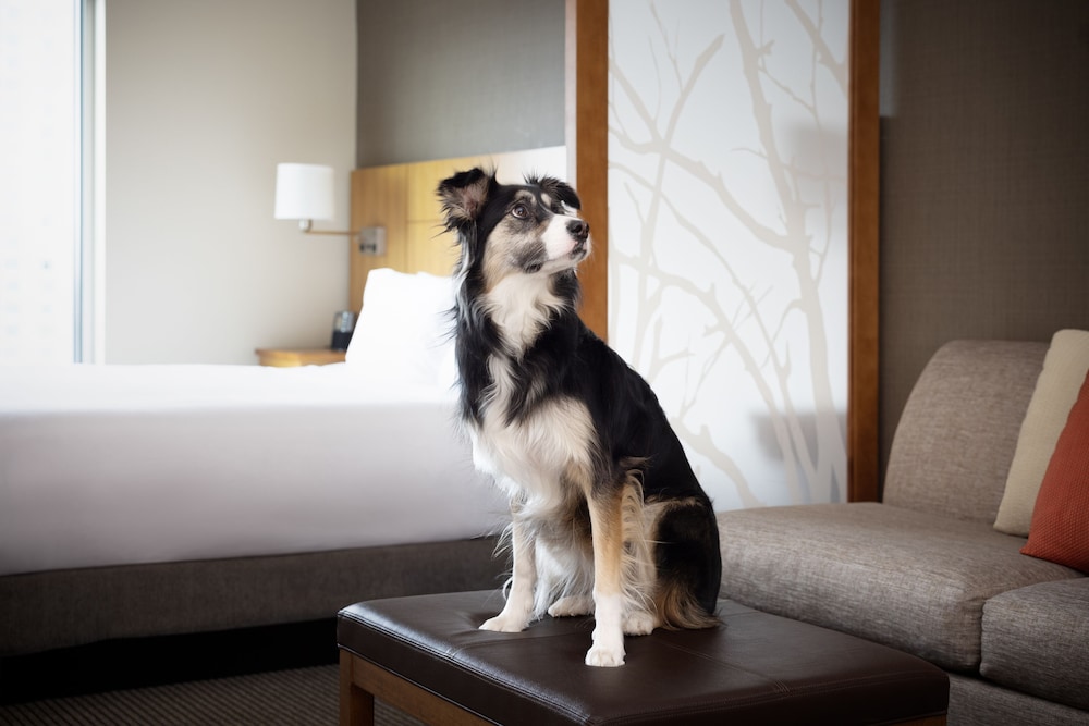 Hyatt Place Denver Downtown 7/50