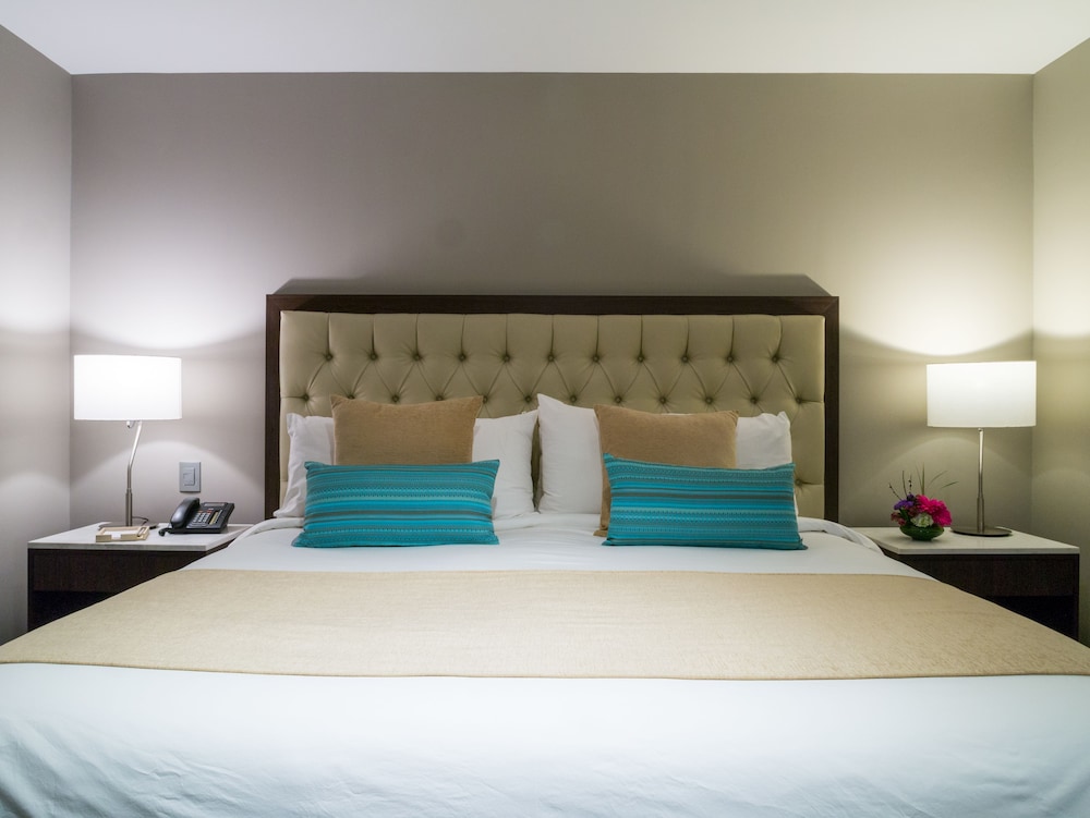 Dominion Polanco Ex Dominion Corporate Suites 9/50