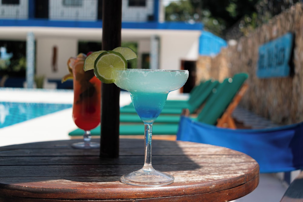 Hotel Villa Alicia 写真3