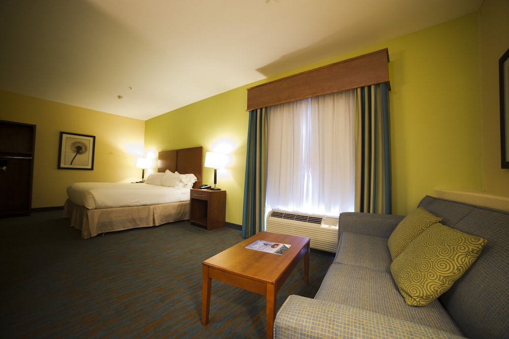 Holiday Inn Express Hotel Suites Atlanta East Lithonia 27/66