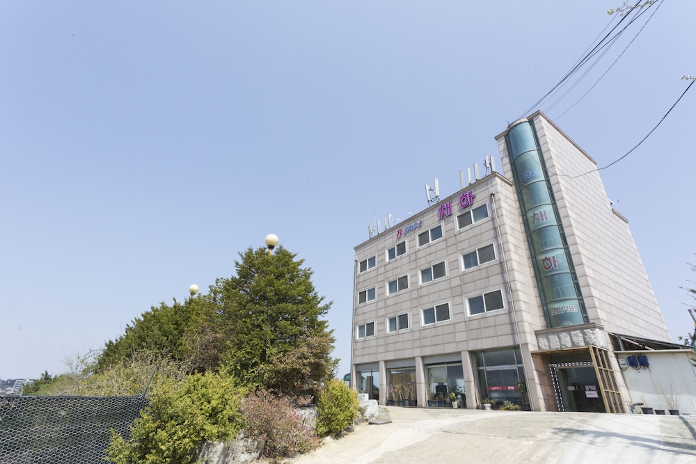 B House photo2